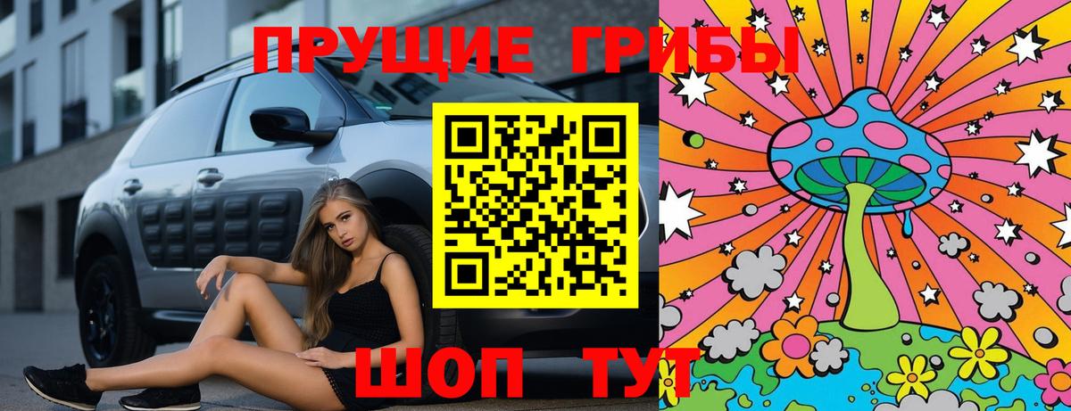 Геленджик  цены наркотик  Вход с VPN  Псилоцибиновые грибы MAGIC MUSHROOMS 
